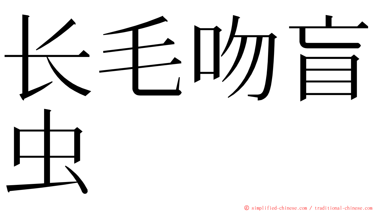 长毛吻盲虫 ming font
