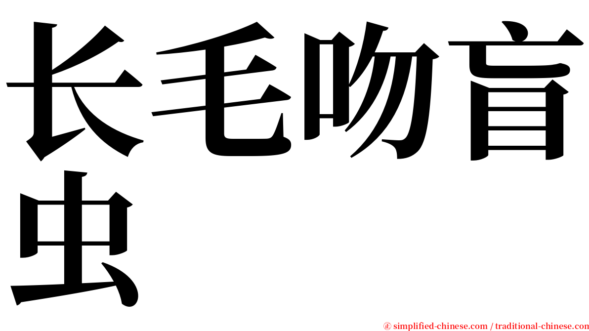 长毛吻盲虫 serif font