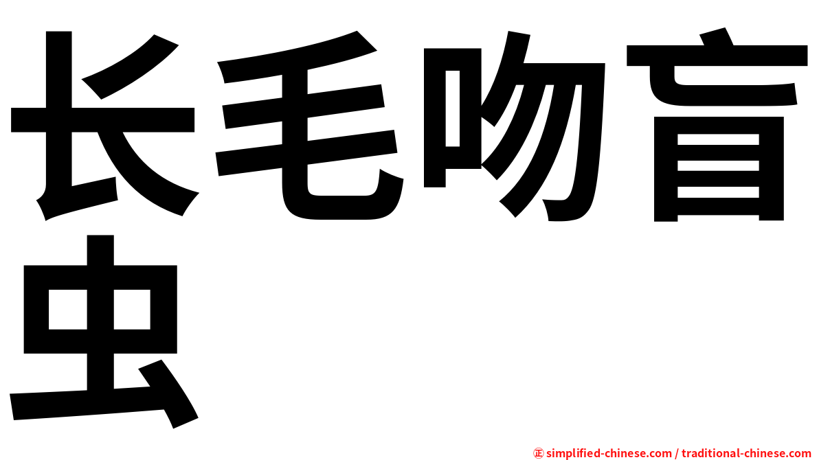 长毛吻盲虫