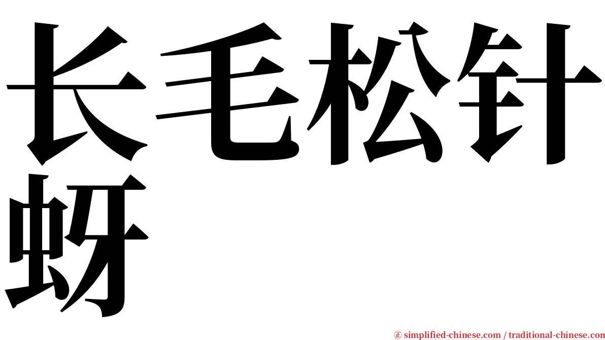 长毛松针蚜 serif font