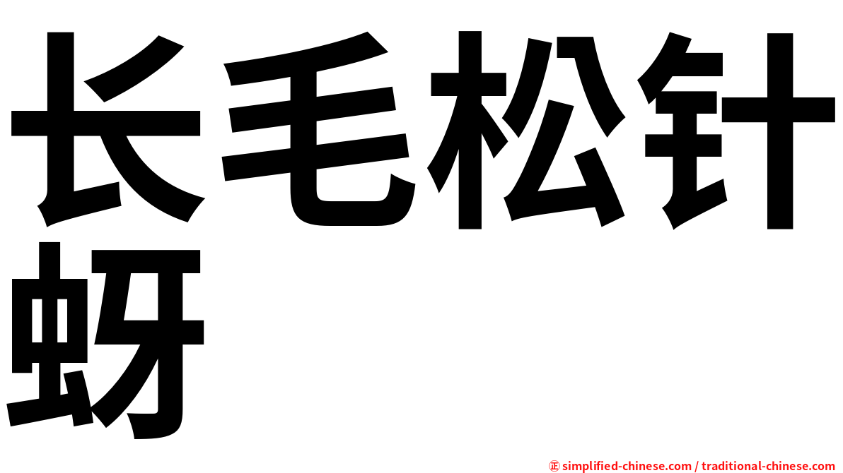 长毛松针蚜