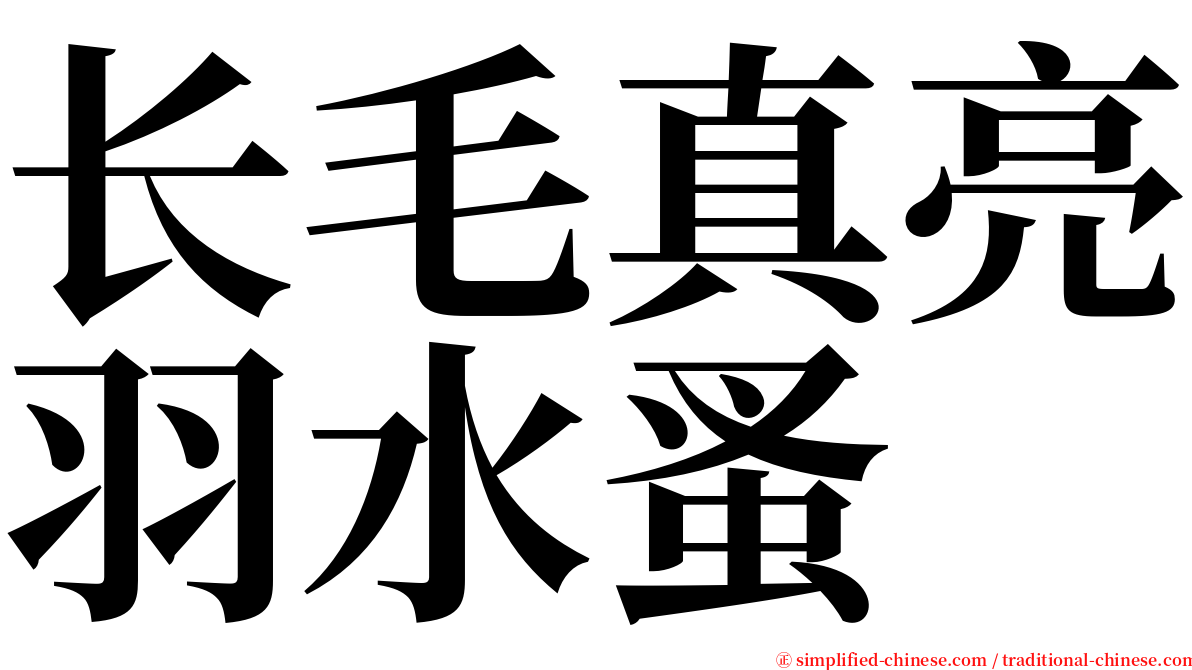 长毛真亮羽水蚤 serif font