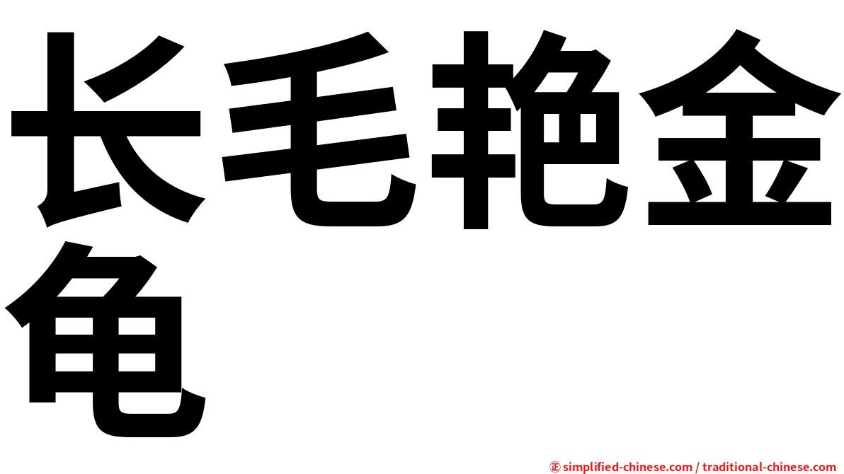 长毛艳金龟