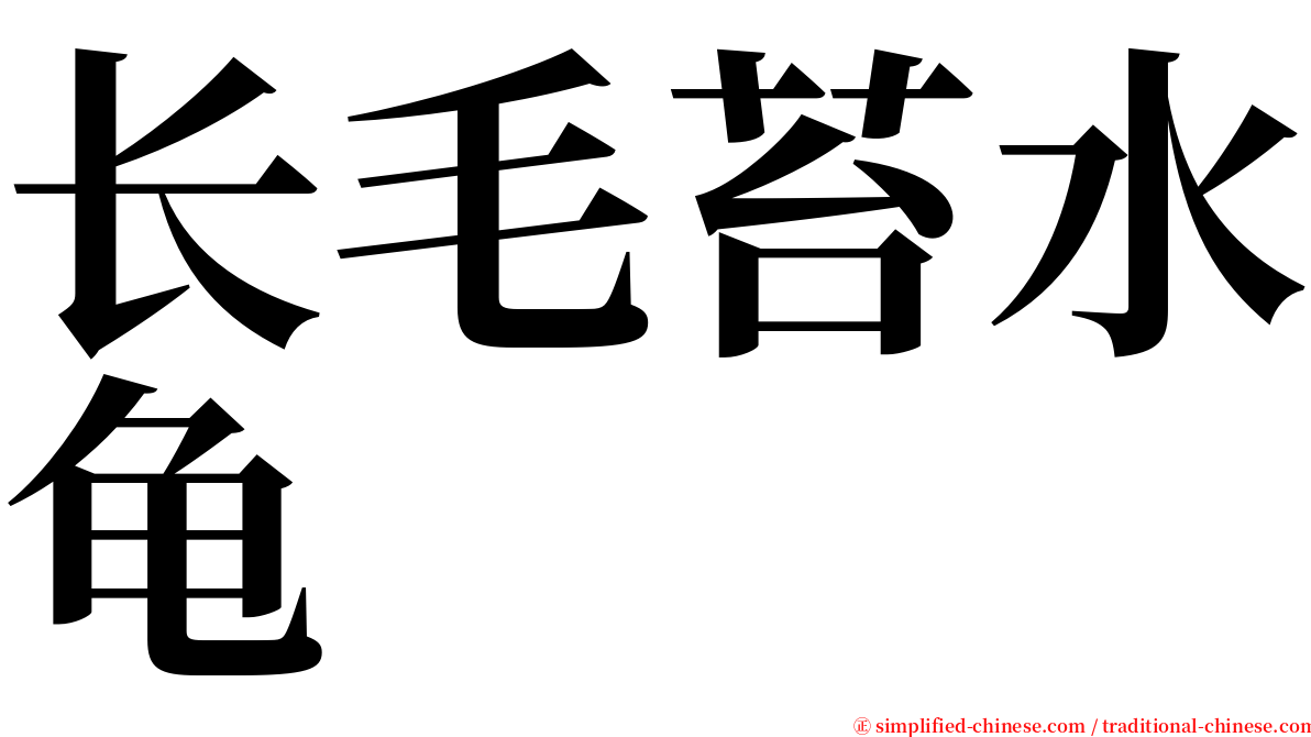 长毛苔水龟 serif font