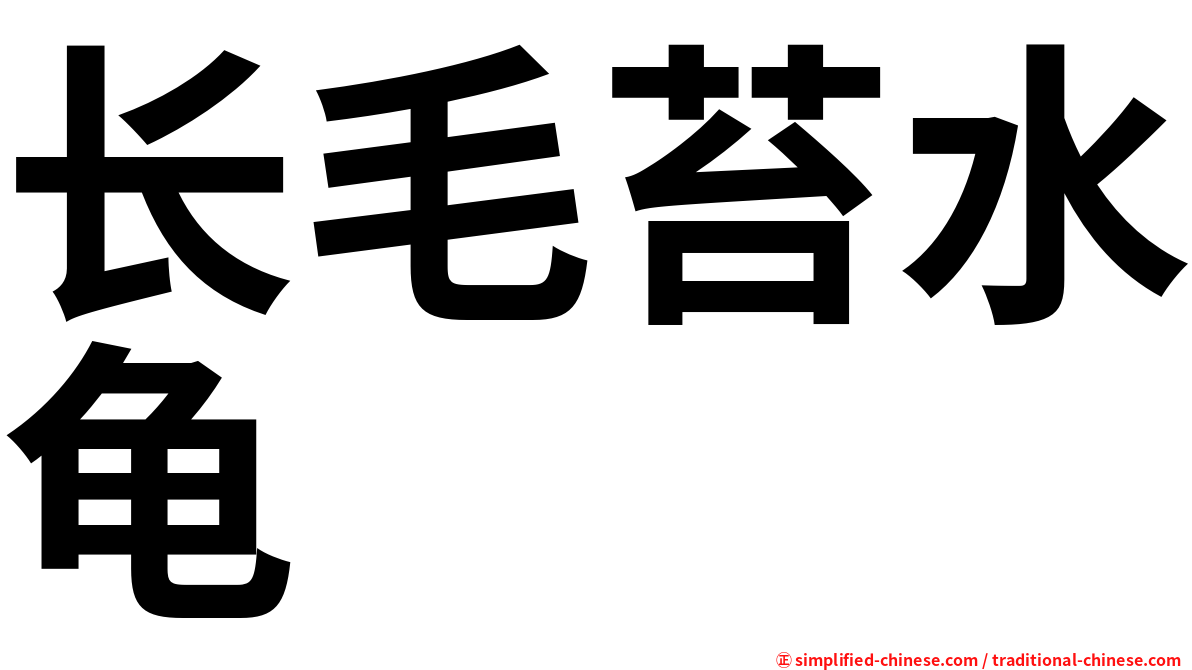 长毛苔水龟