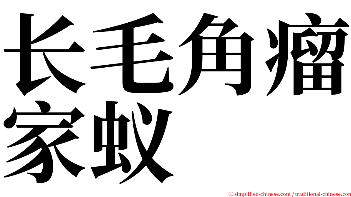 长毛角瘤家蚁 serif font