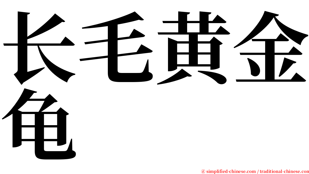 长毛黄金龟 serif font
