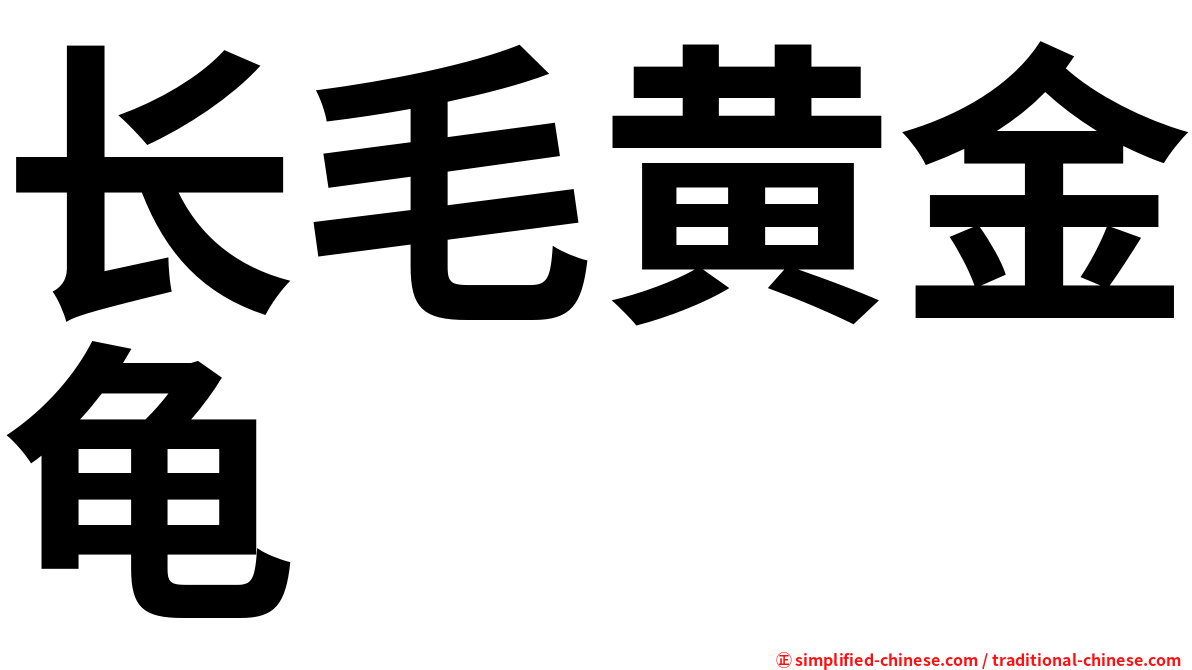 长毛黄金龟