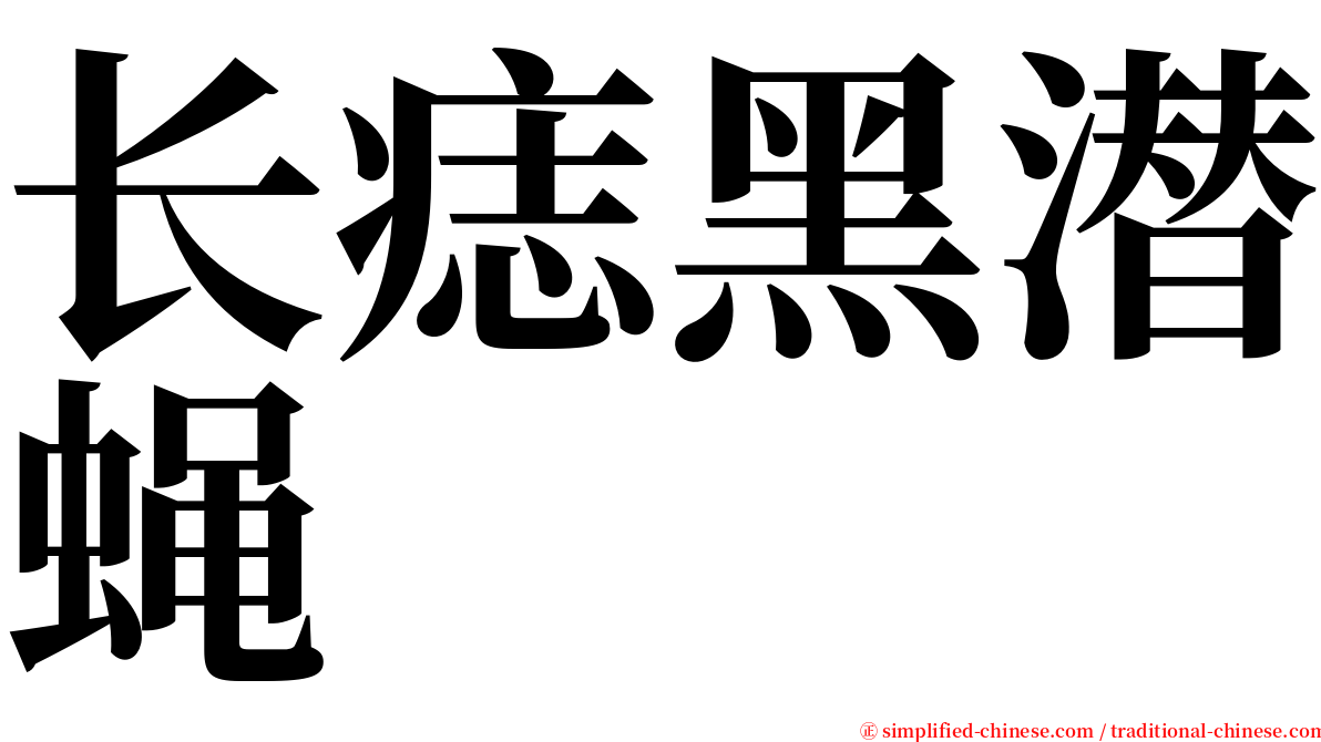 长痣黑潜蝇 serif font