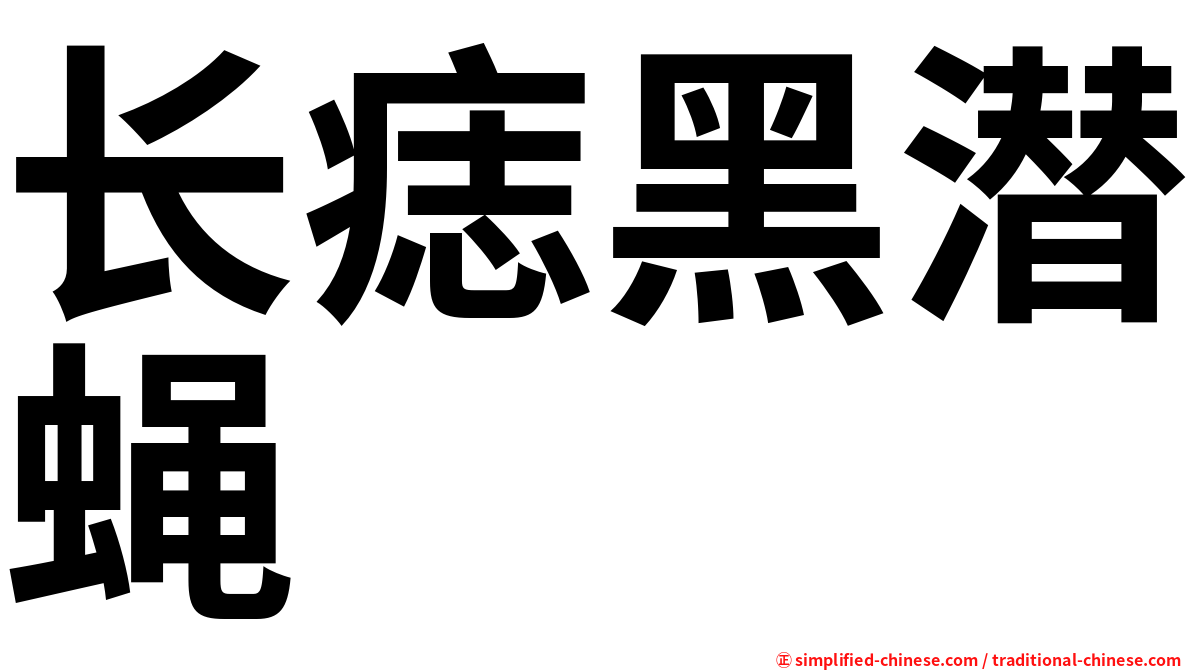 长痣黑潜蝇