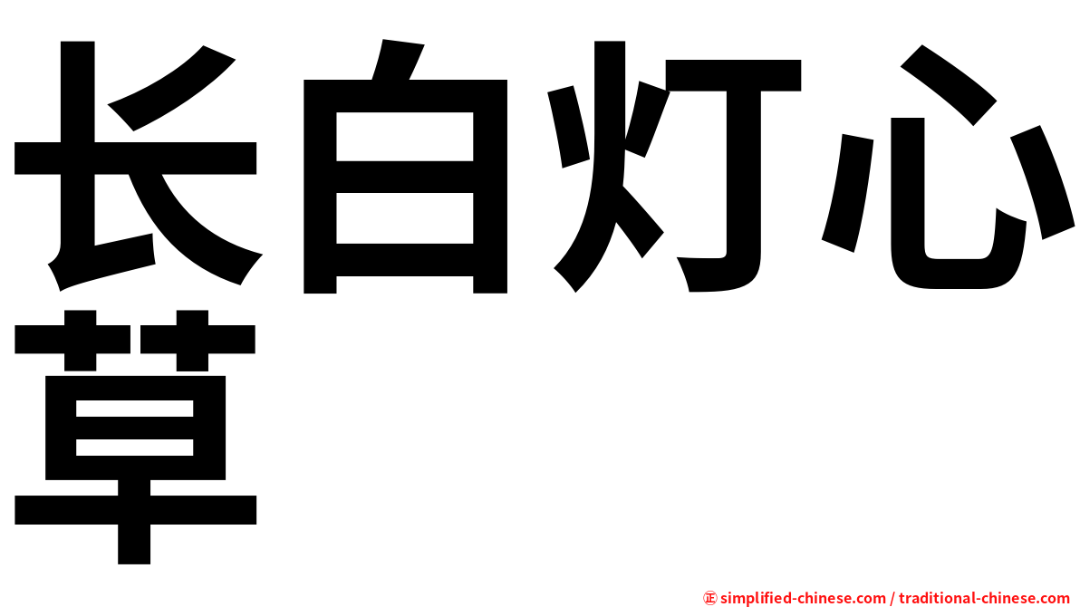 长白灯心草