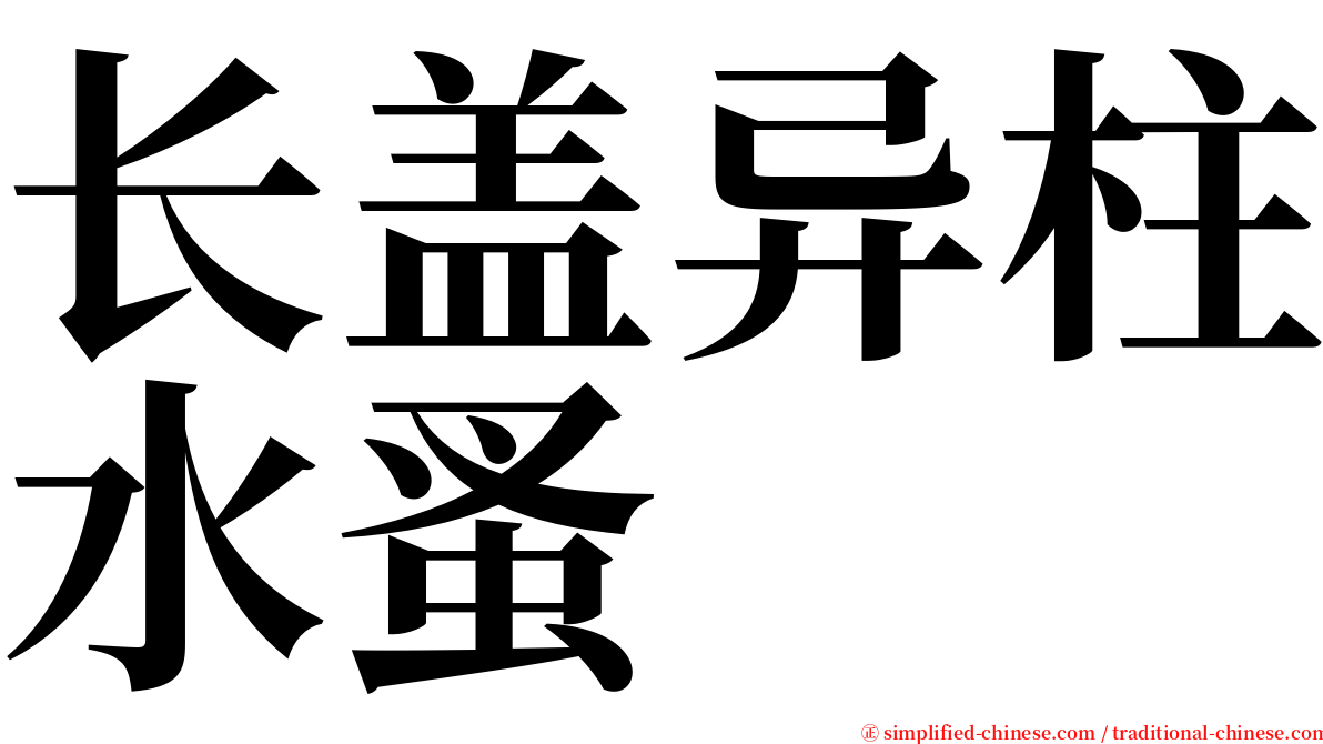 长盖异柱水蚤 serif font