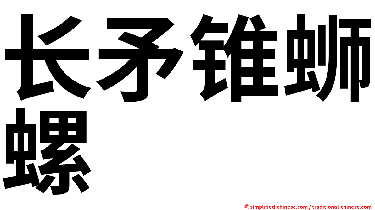 长矛锥蛳螺