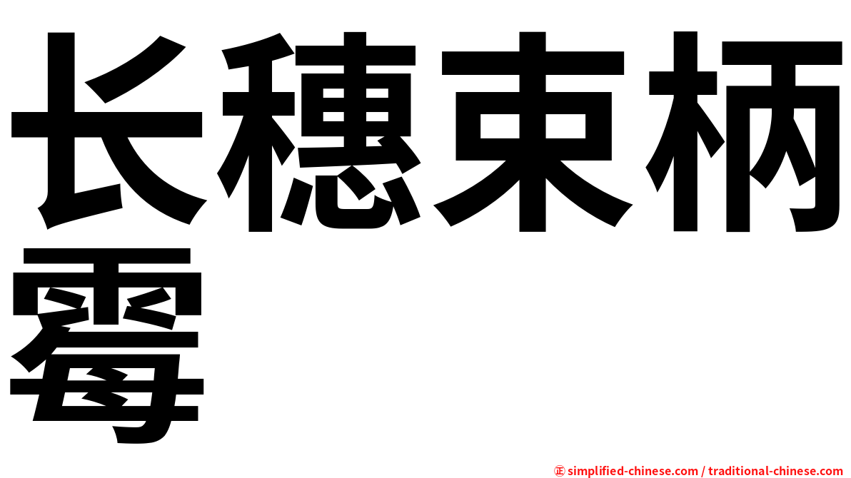 长穗束柄霉
