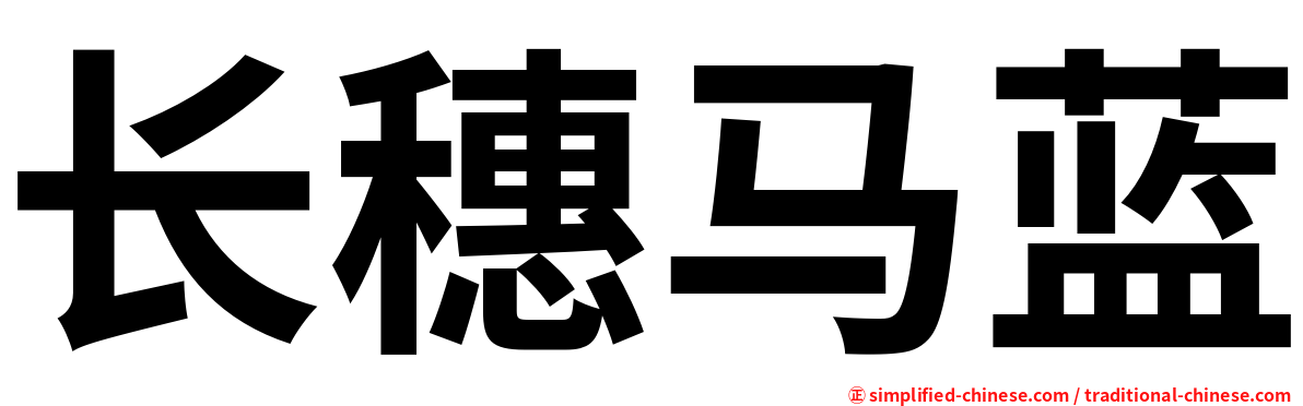 长穗马蓝