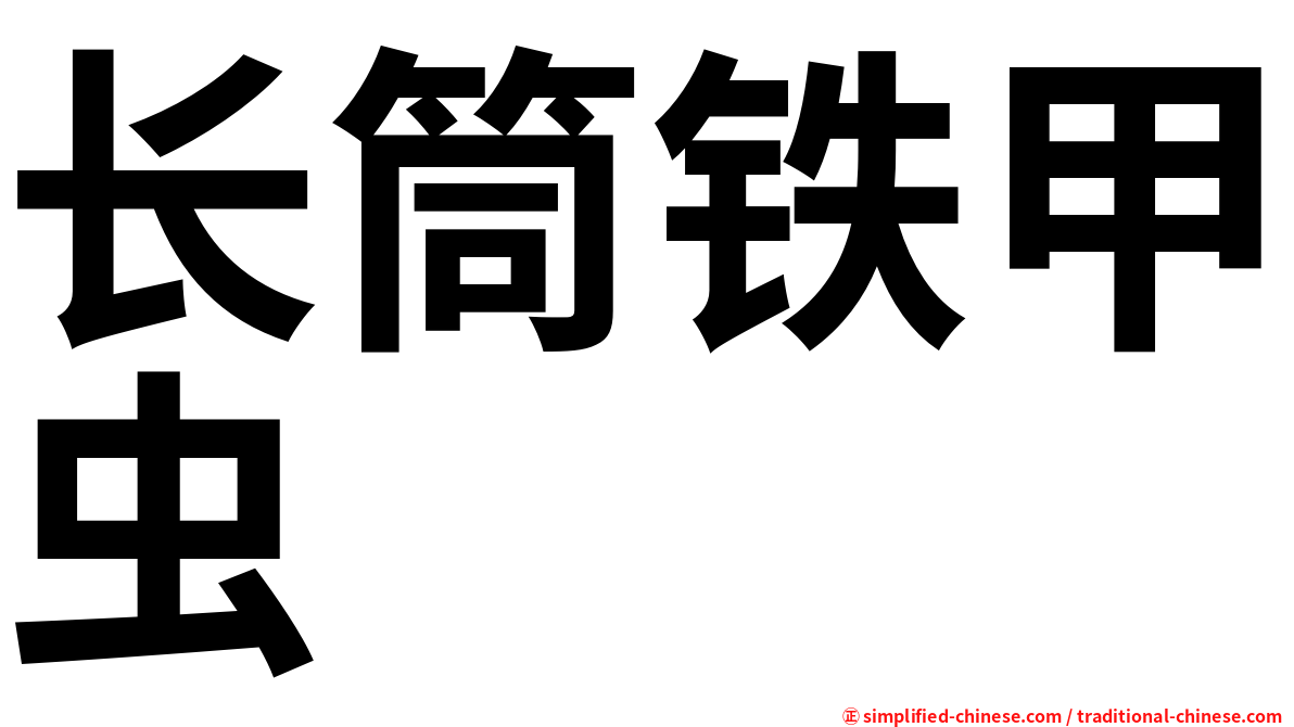 长筒铁甲虫