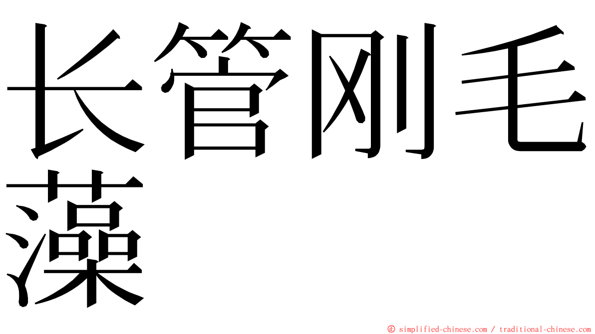 长管刚毛藻 ming font