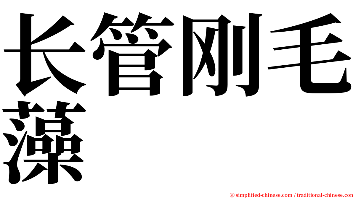 长管刚毛藻 serif font