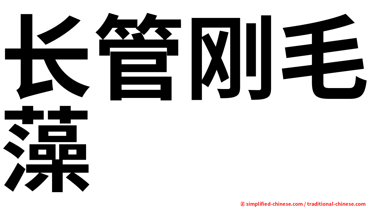 长管刚毛藻