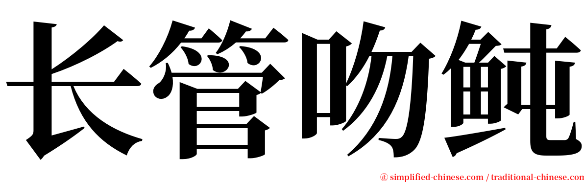 长管吻鲀 serif font