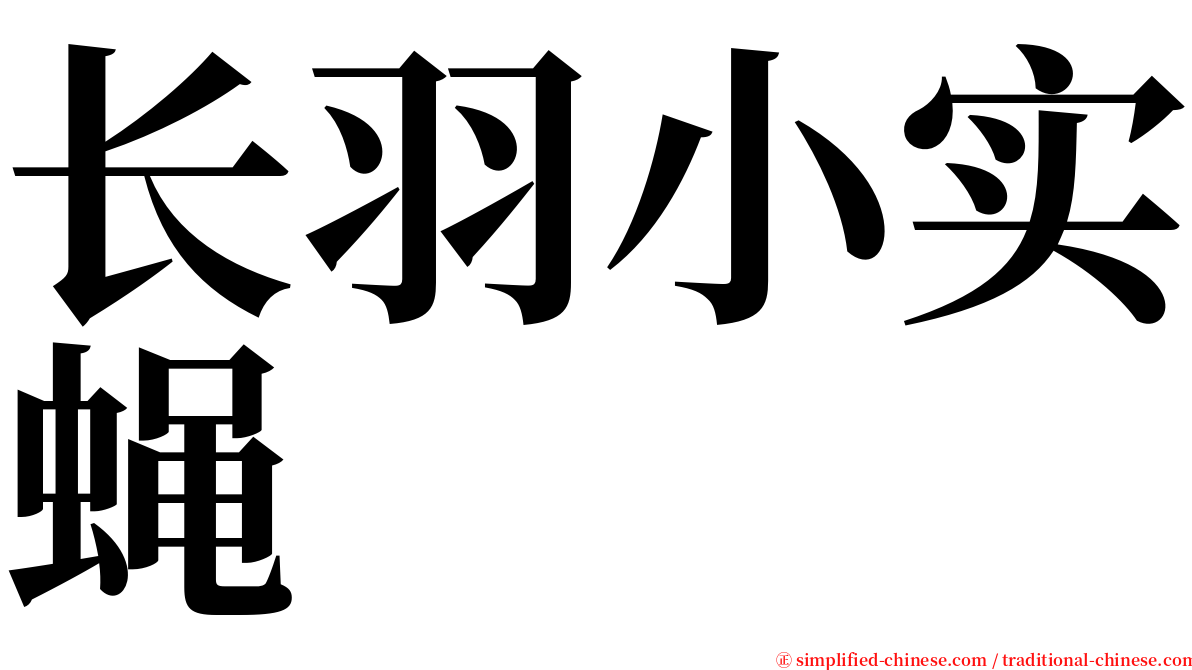 长羽小实蝇 serif font