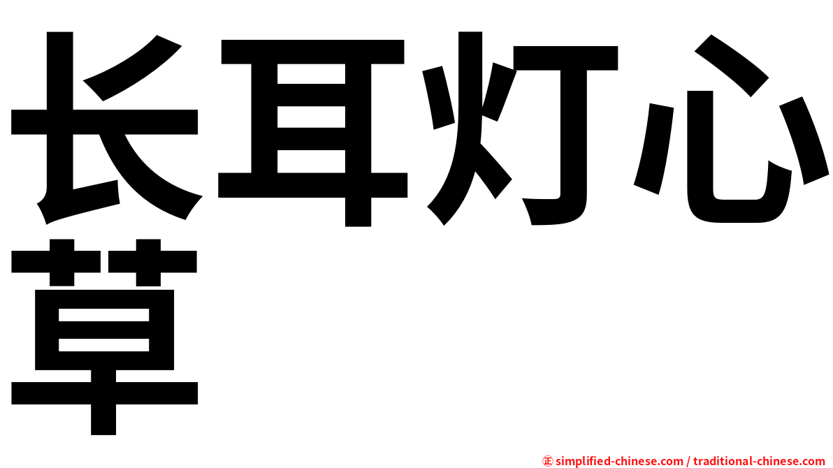 长耳灯心草