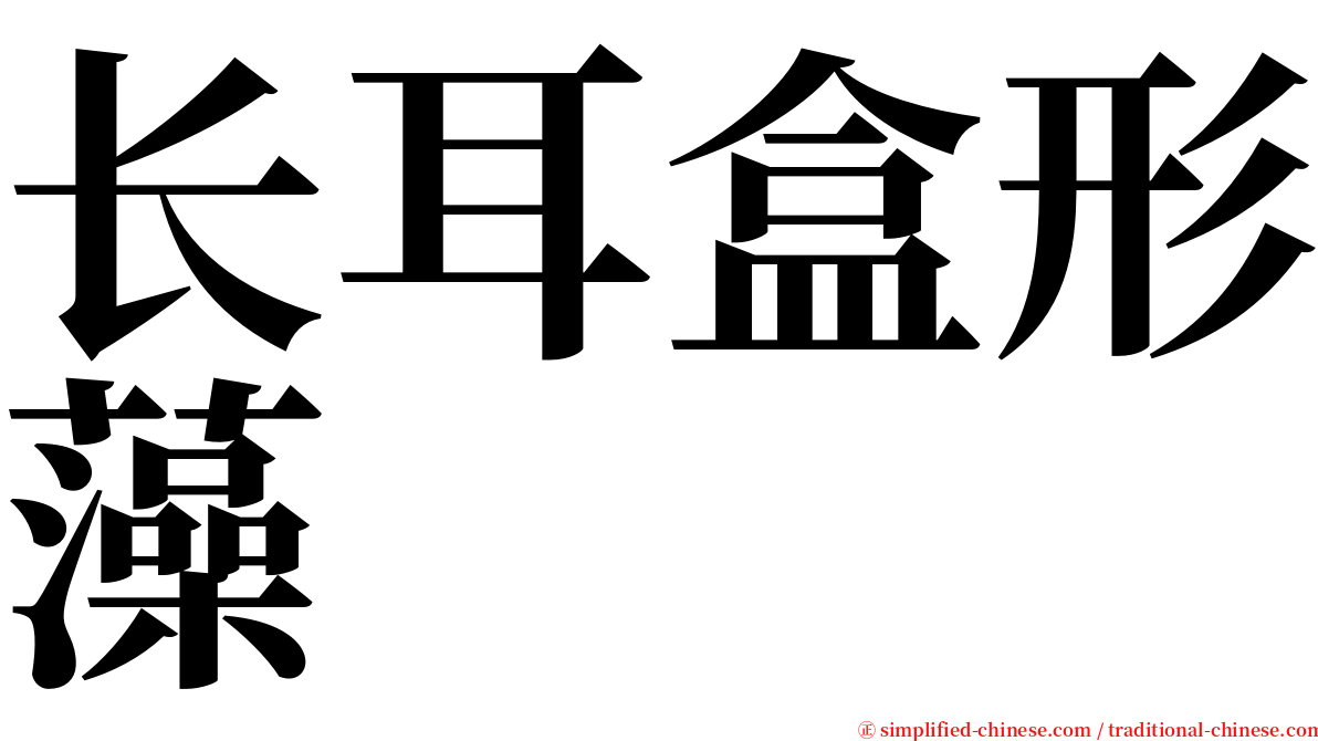 长耳盒形藻 serif font