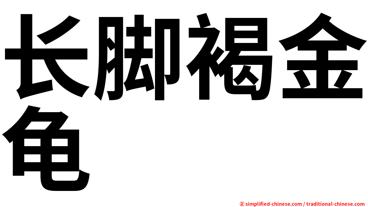 长脚褐金龟