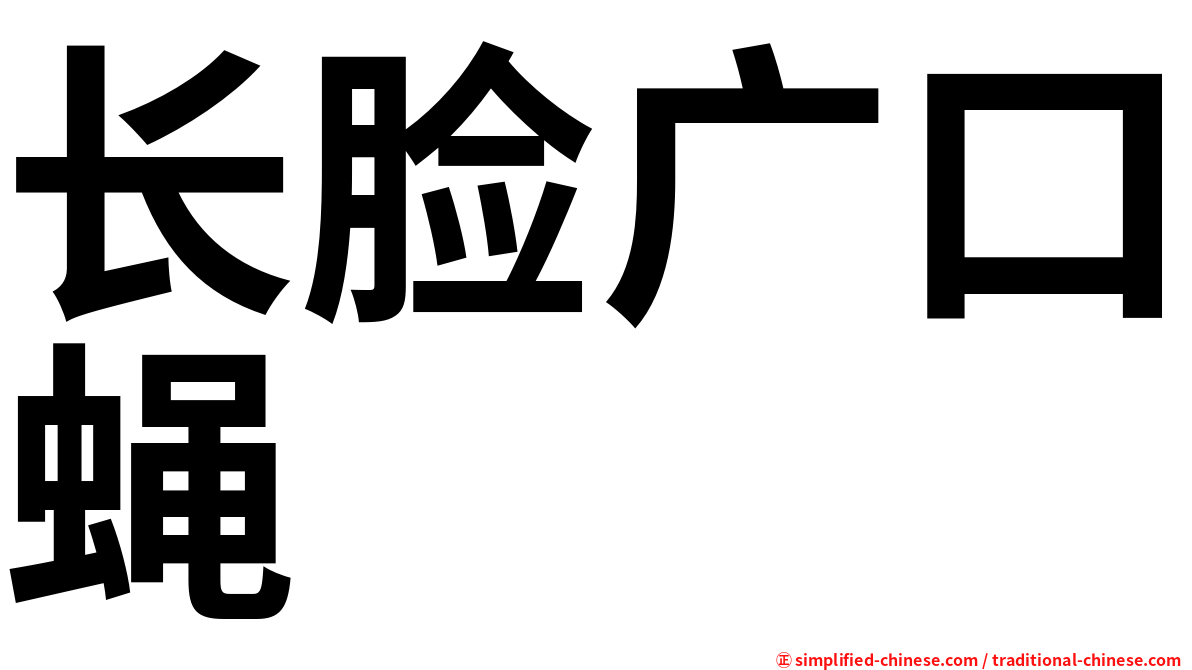 长脸广口蝇
