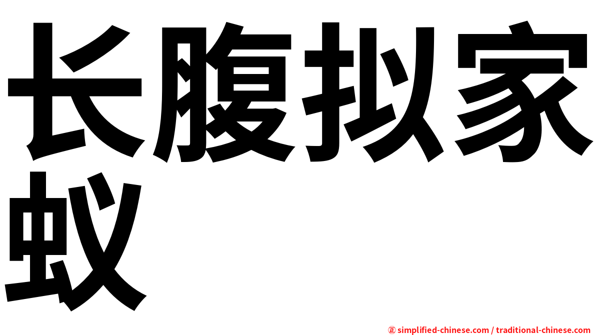 长腹拟家蚁