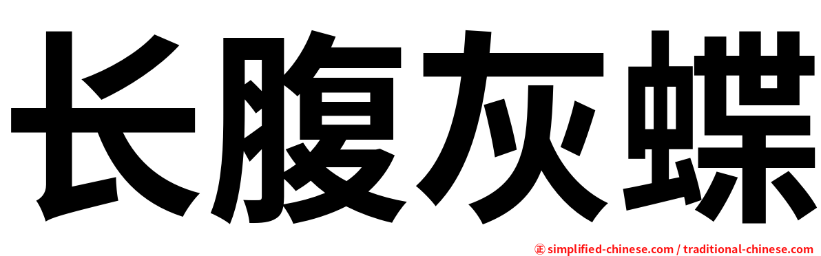 长腹灰蝶