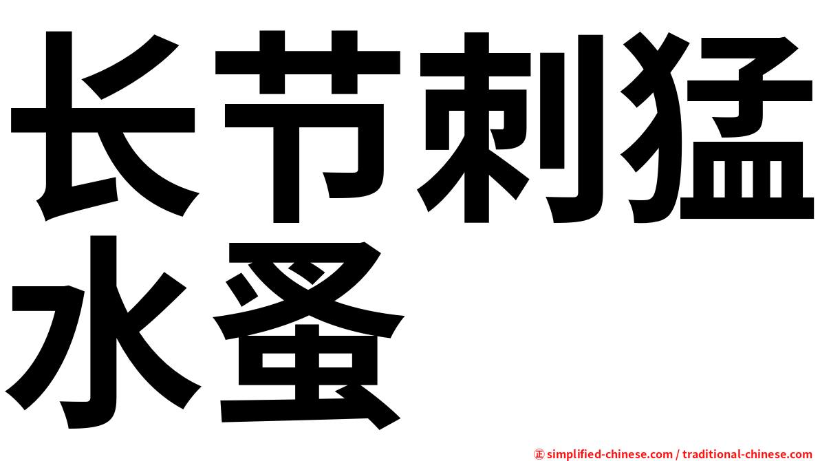 长节刺猛水蚤