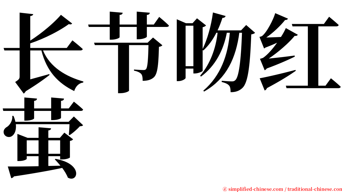 长节吻红萤 serif font