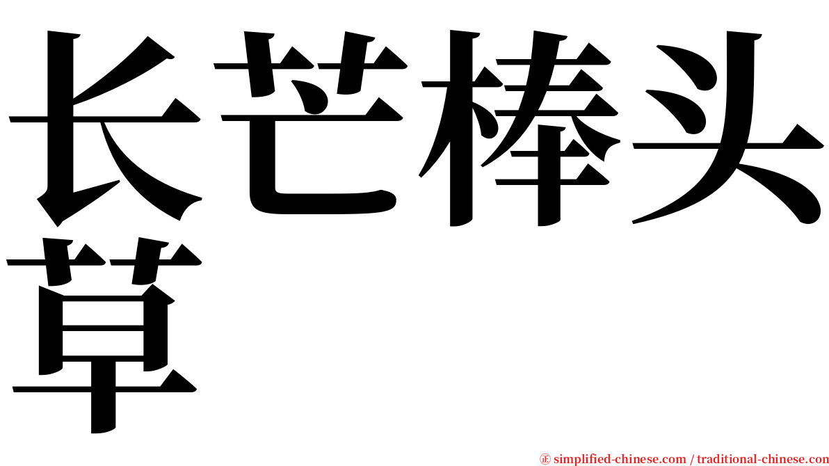 长芒棒头草 serif font