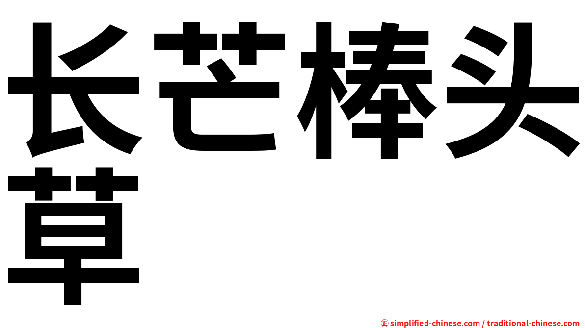 长芒棒头草