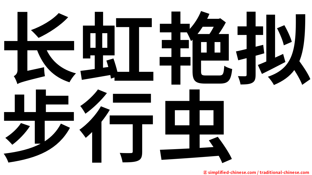 长虹艳拟步行虫