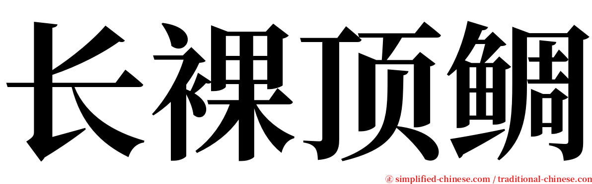 长裸顶鲷 serif font