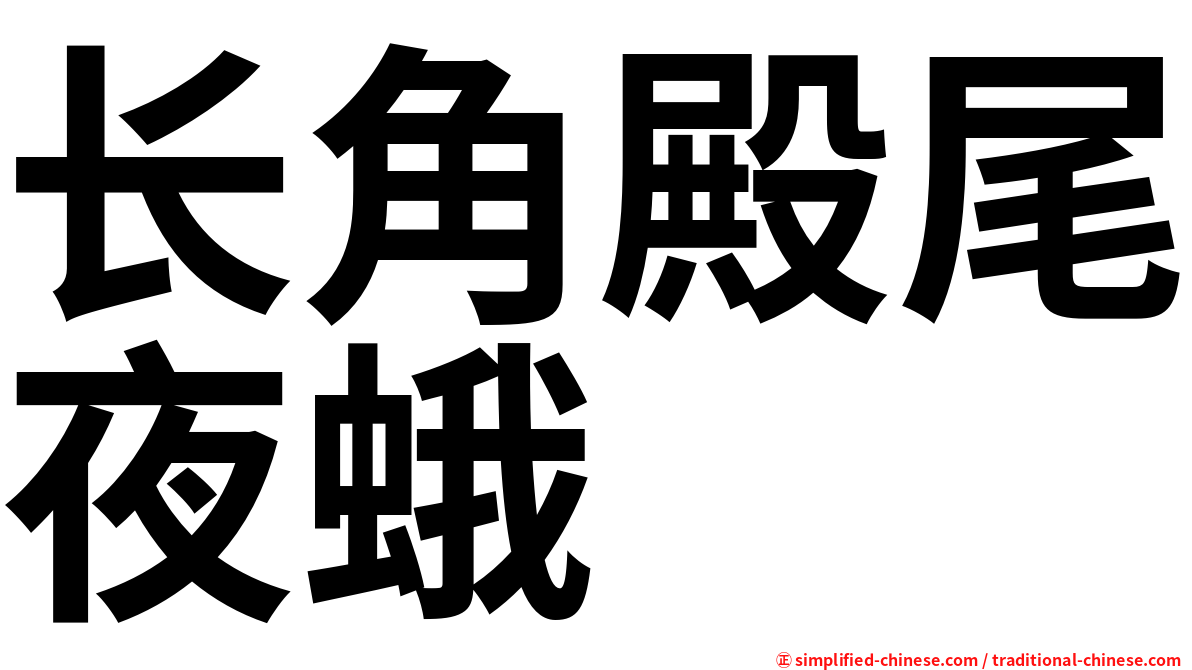 长角殿尾夜蛾