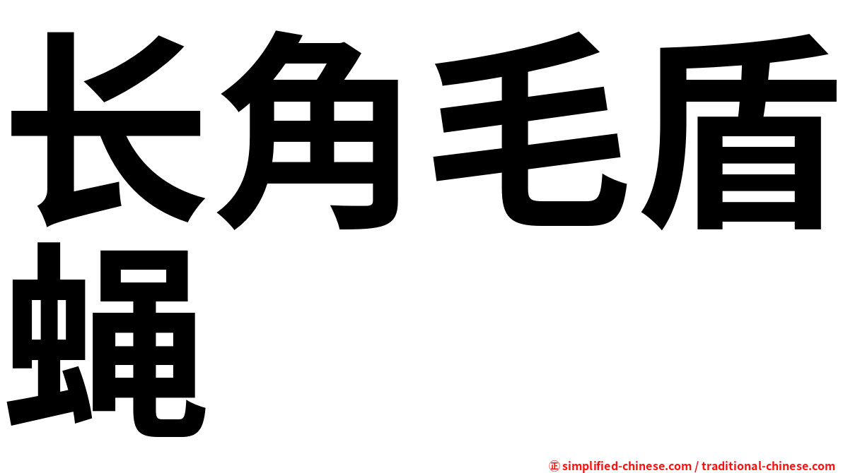 长角毛盾蝇