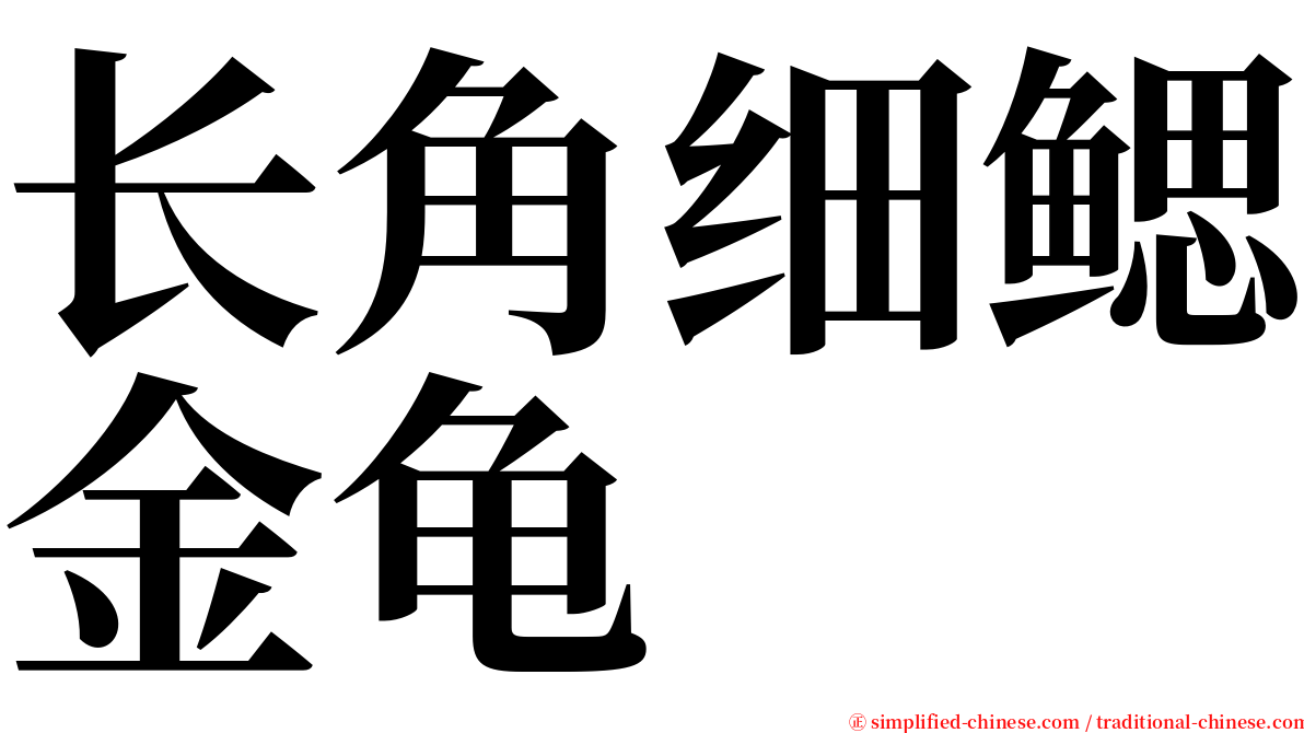 长角细鳃金龟 serif font