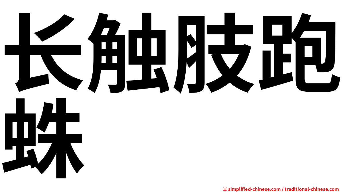 长触肢跑蛛