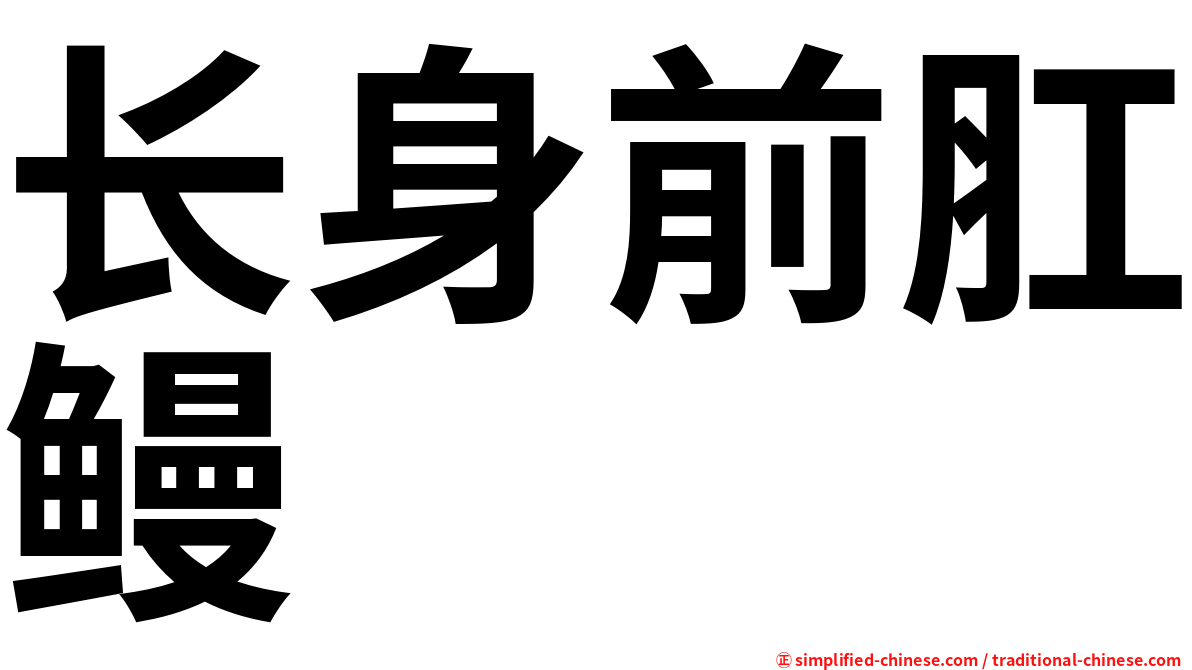 长身前肛鳗