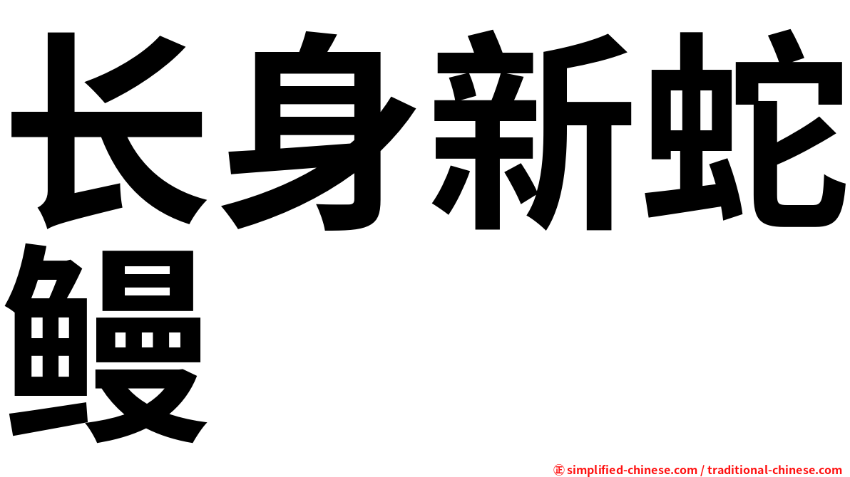 长身新蛇鳗