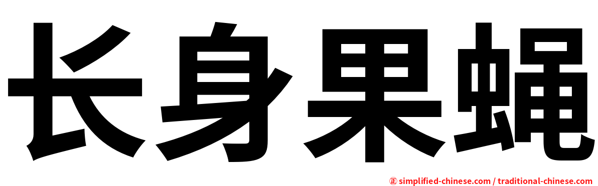长身果蝇