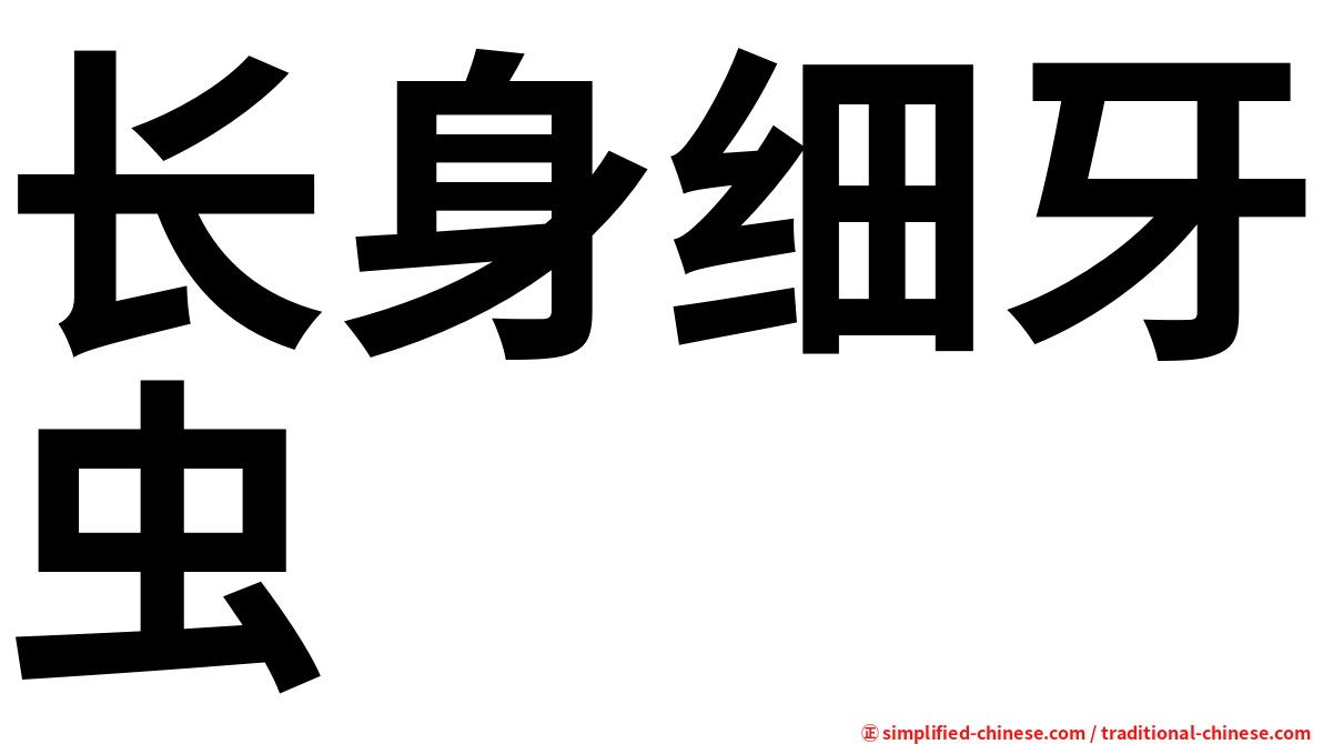 长身细牙虫