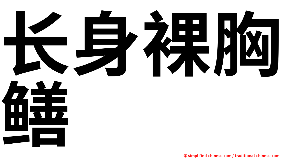 长身裸胸鳝