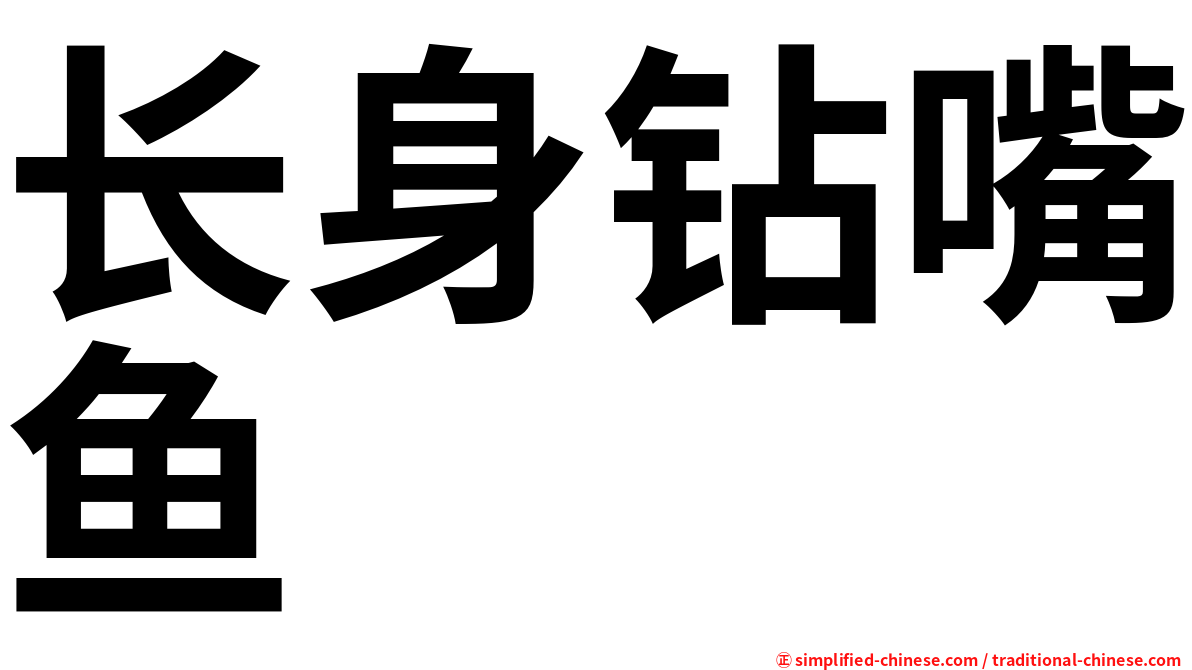 长身钻嘴鱼