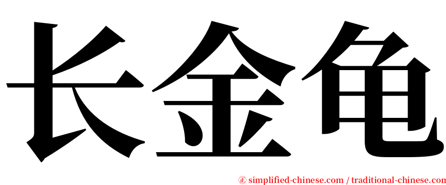 长金龟 serif font