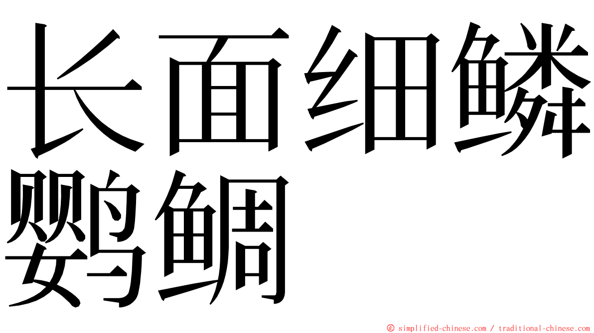 长面细鳞鹦鲷 ming font