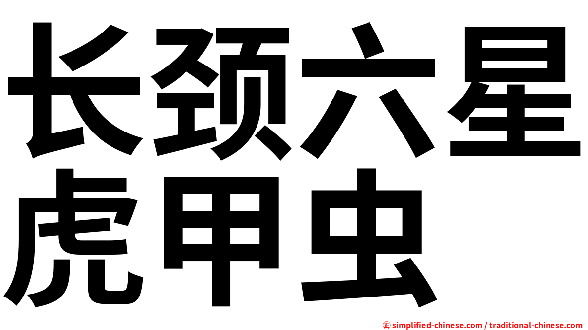 长颈六星虎甲虫
